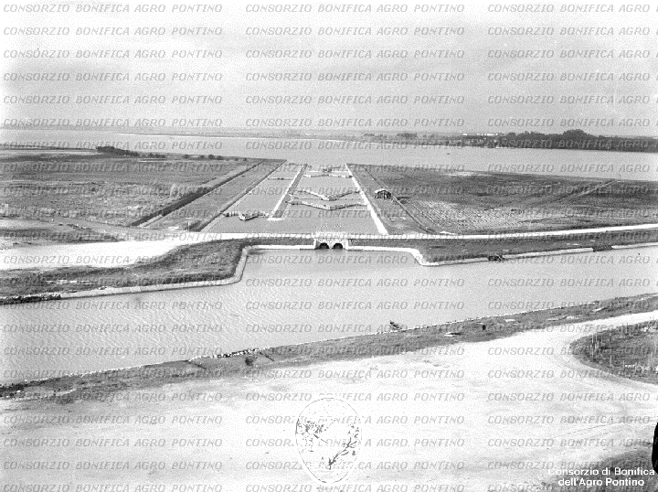 PONTINO/BOR002004.jpg
