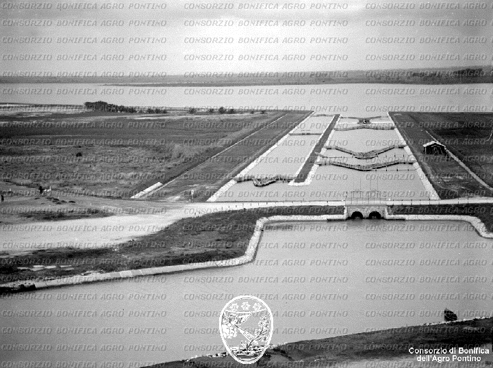 PONTINO/BOR002006.jpg