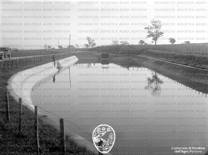 PONTINO/BOR002009.jpg