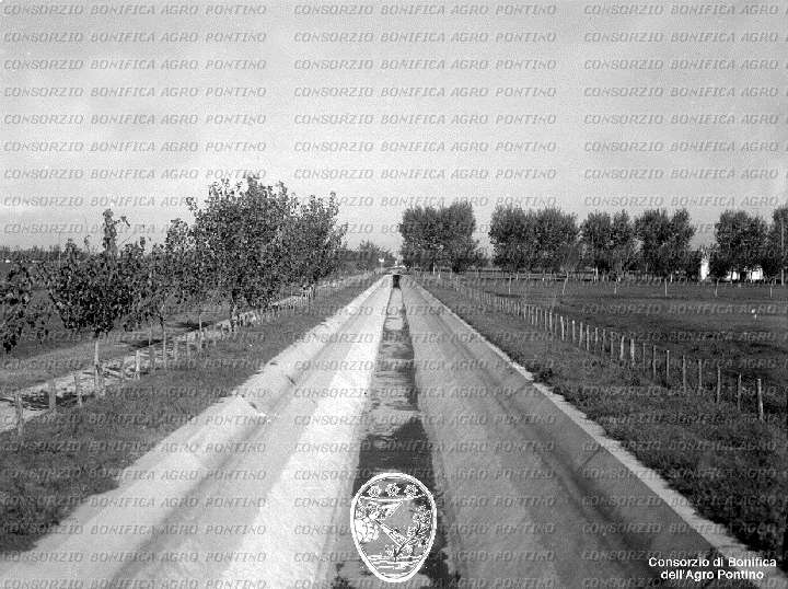 PONTINO/BOR002012.jpg