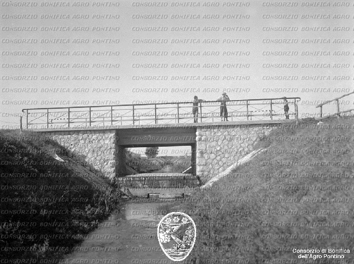 PONTINO/BOR002014.jpg