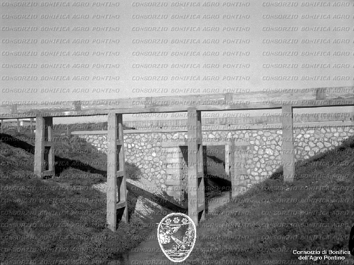 PONTINO/BOR002015.jpg