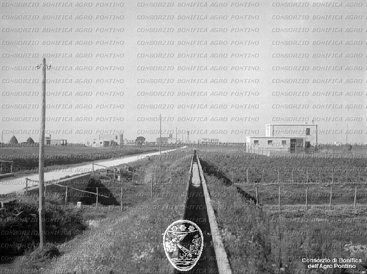 PONTINO/BOR002016.jpg