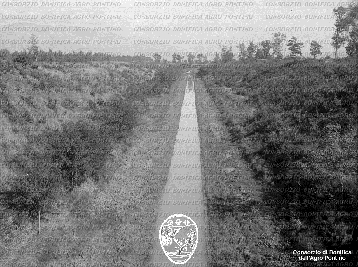 PONTINO/BOR002017.jpg