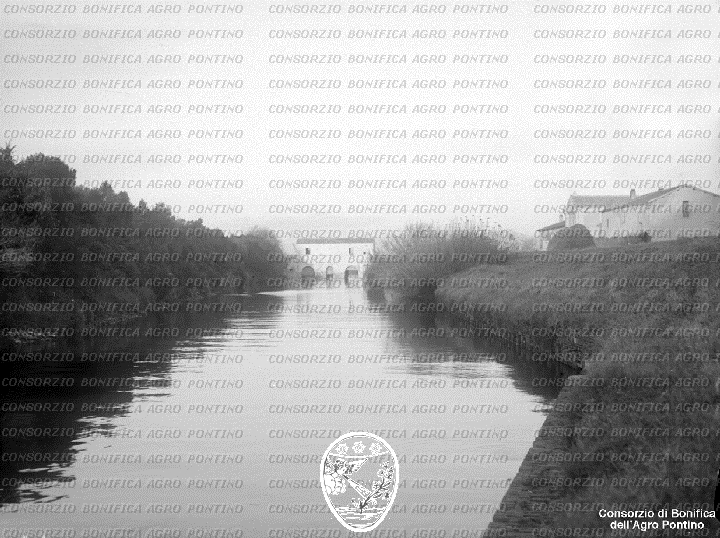 PONTINO/BOR002026.jpg
