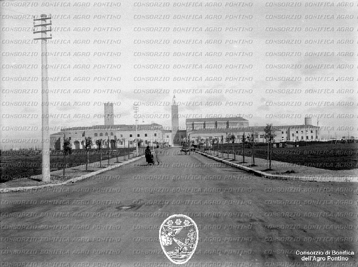 PONTINO/BOR002028.jpg