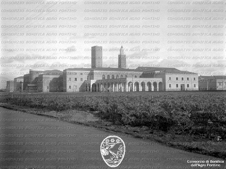 PONTINO/BOR002029.jpg