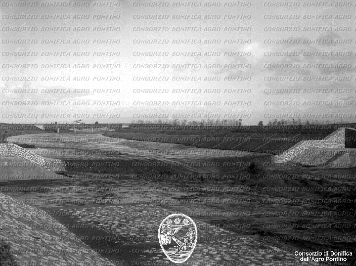PONTINO/BOR002041.jpg