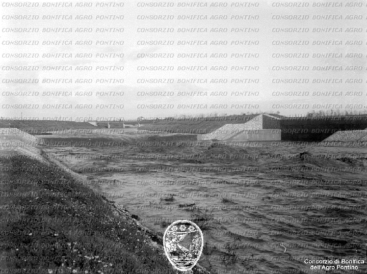 PONTINO/BOR002042.jpg