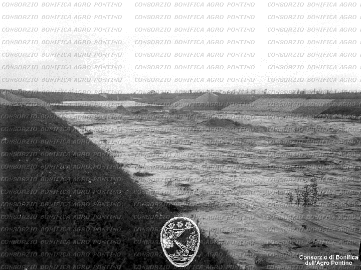 PONTINO/BOR002043.jpg