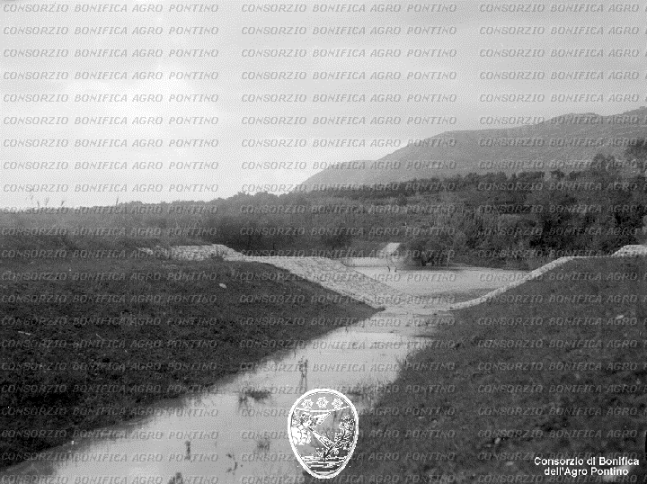 PONTINO/BOR002045.jpg