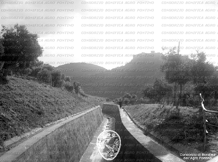 PONTINO/BOR002046.jpg
