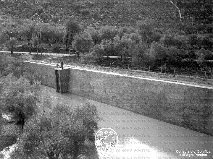 PONTINO/BOR002047.jpg