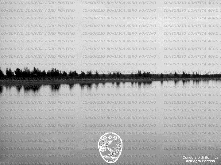 PONTINO/BOR002048.jpg