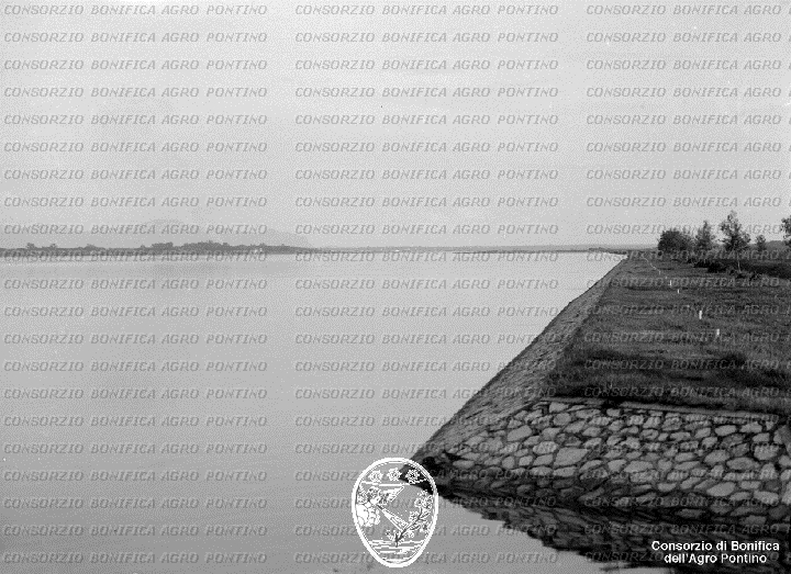 PONTINO/BOR002049.jpg