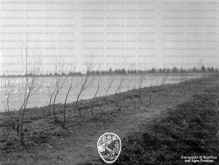 PONTINO/BOR002055.jpg
