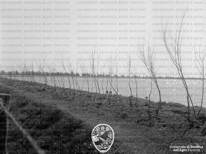 PONTINO/BOR002056.jpg