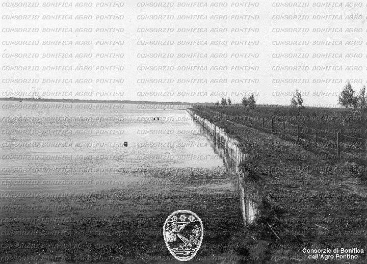 PONTINO/BOR002057.jpg