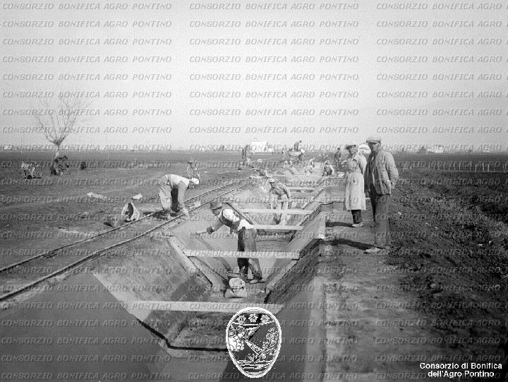 PONTINO/BOR002058.jpg