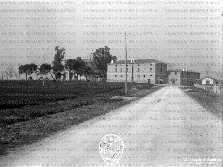 PONTINO/BOR002062.jpg