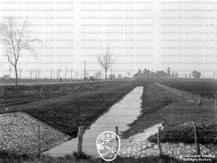 PONTINO/BOR002063.jpg