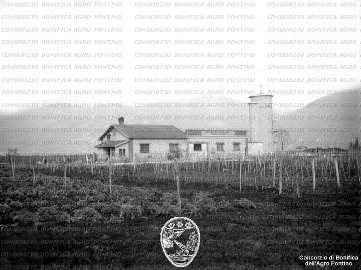 PONTINO/BOR002065.jpg