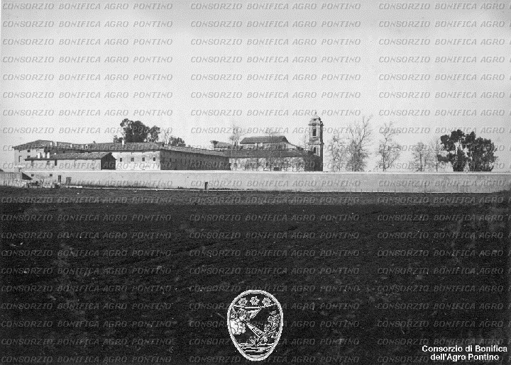 PONTINO/BOR002067.jpg