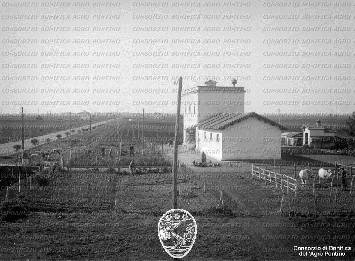 PONTINO/BOR002069.jpg