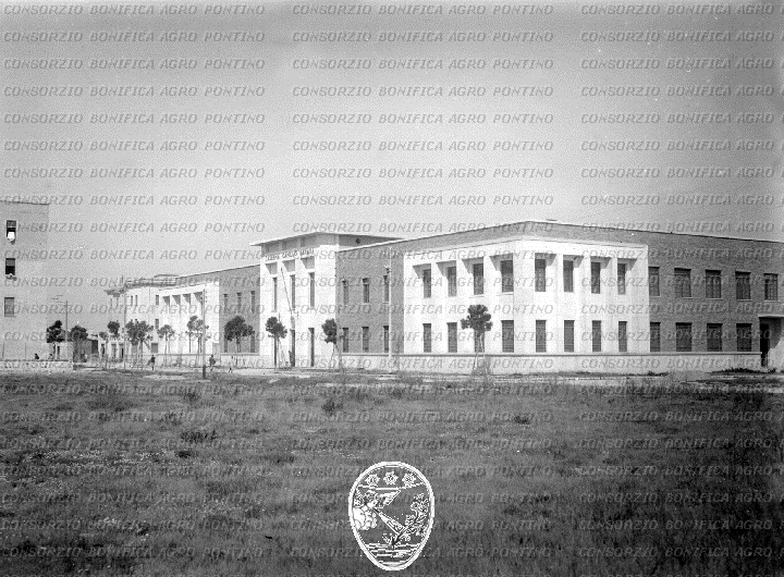 PONTINO/BOR002080.jpg