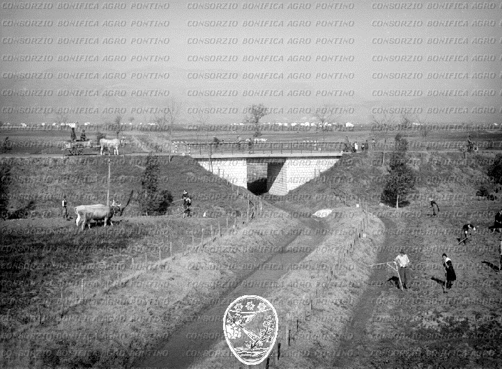 PONTINO/BOR002081.jpg