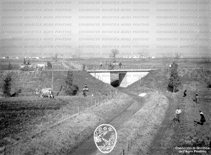 PONTINO/BOR002082.jpg