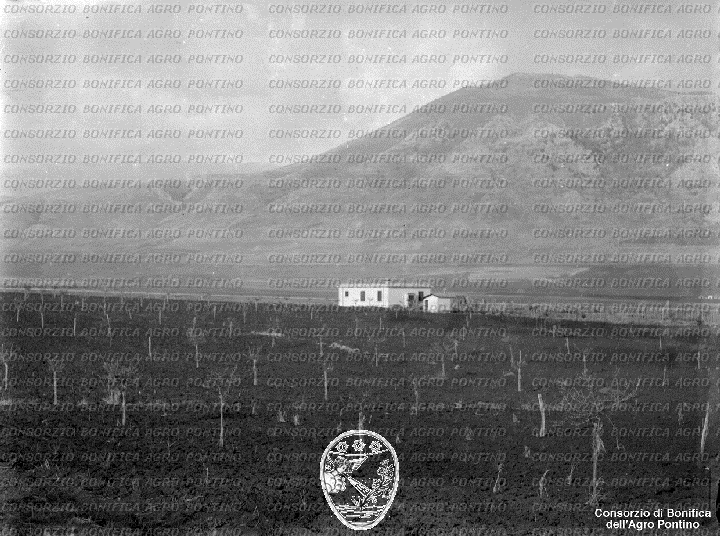 PONTINO/BOR002093.jpg
