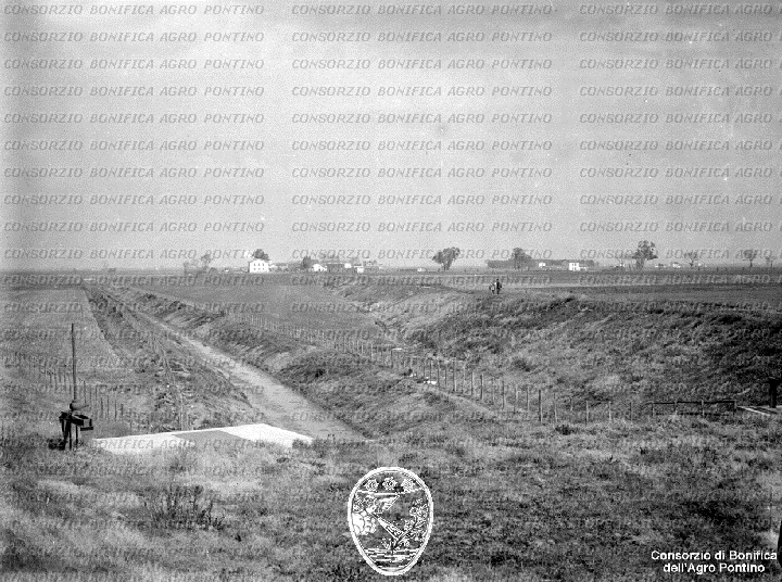 PONTINO/BOR002095.jpg