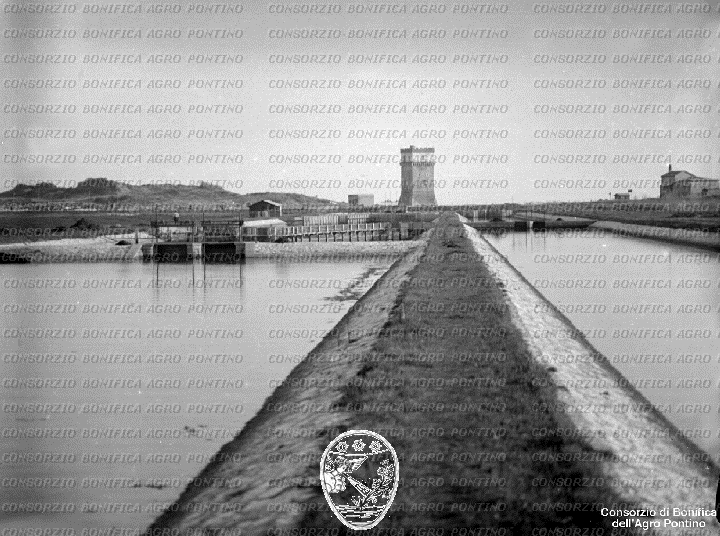 PONTINO/BOR002099.jpg