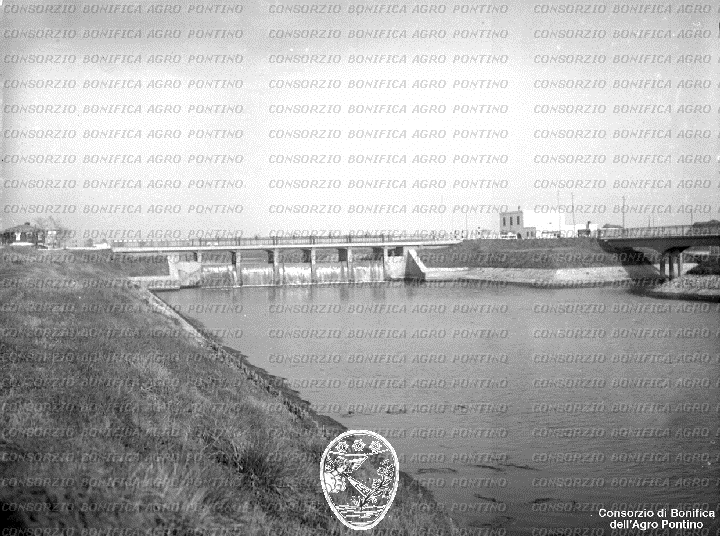 PONTINO/BOR002102.jpg