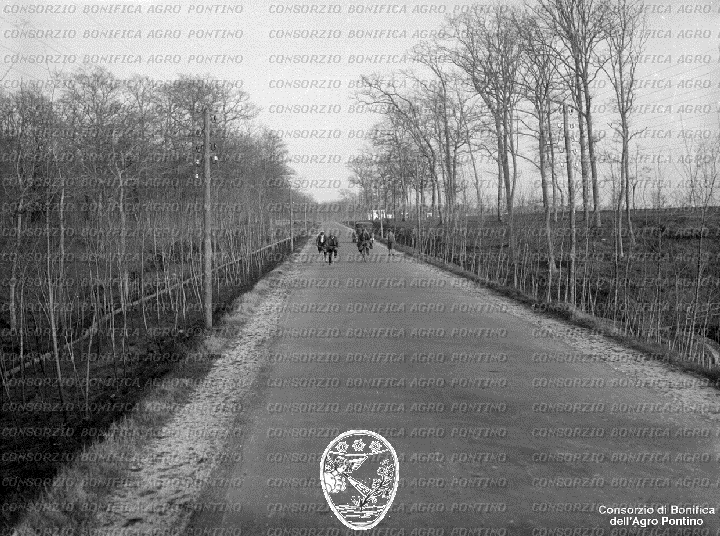 PONTINO/BOR002103.jpg