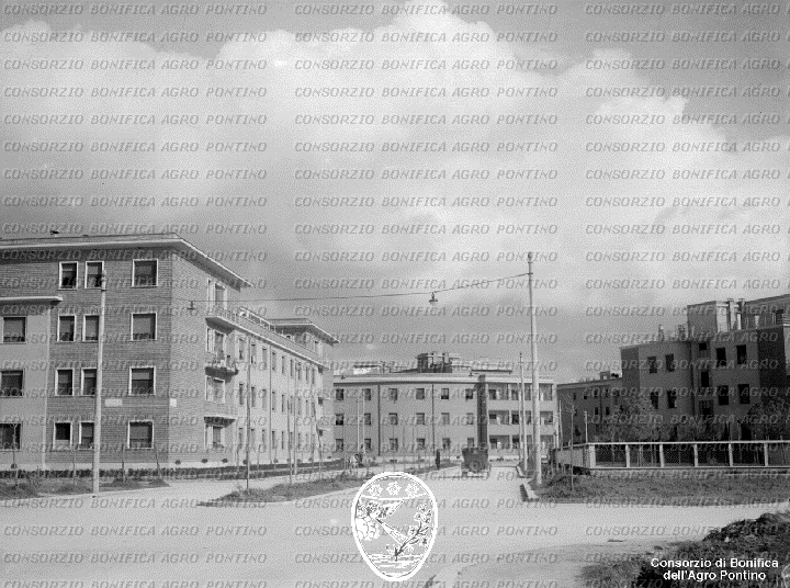 PONTINO/BOR002114.jpg