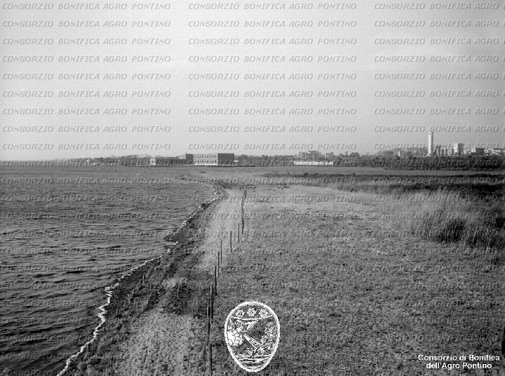 PONTINO/BOR002141.jpg