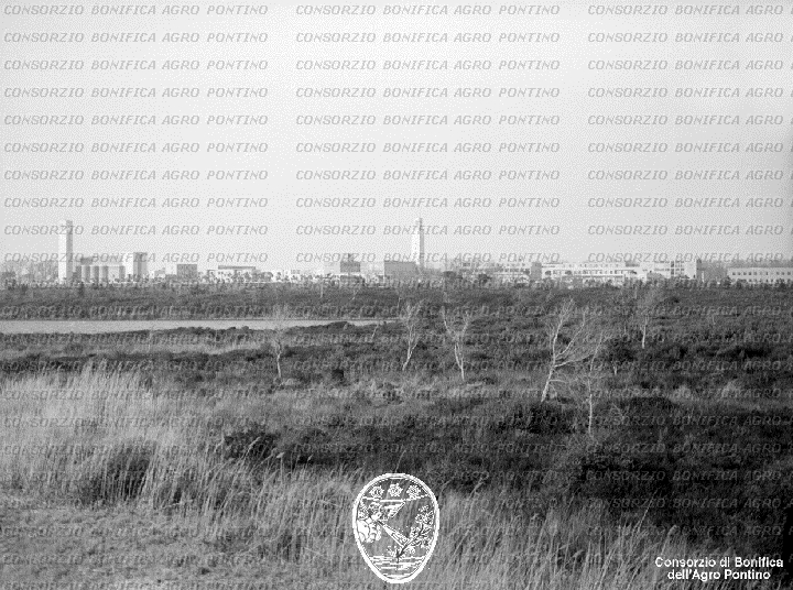 PONTINO/BOR002143.jpg