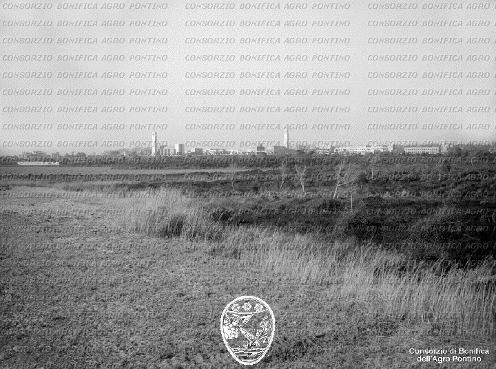 PONTINO/BOR002144.jpg
