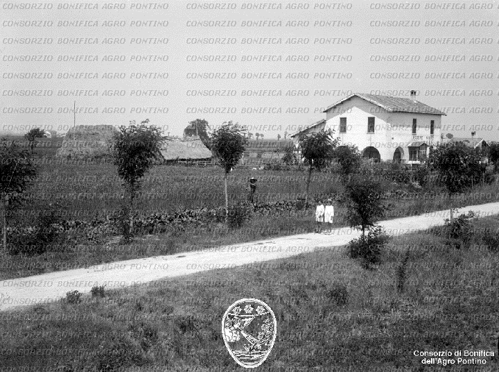 PONTINO/BOR002152.jpg