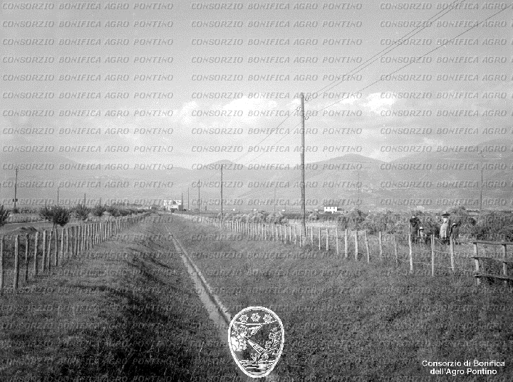PONTINO/BOR002168.jpg
