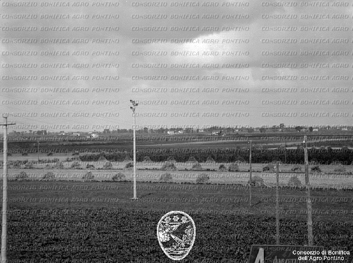 PONTINO/BOR002170.jpg