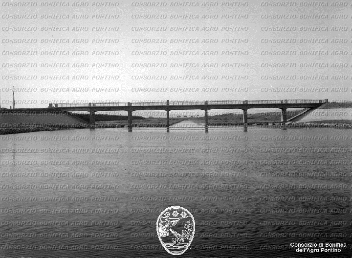 PONTINO/BOR002183.jpg