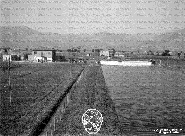 PONTINO/BOR002189.jpg