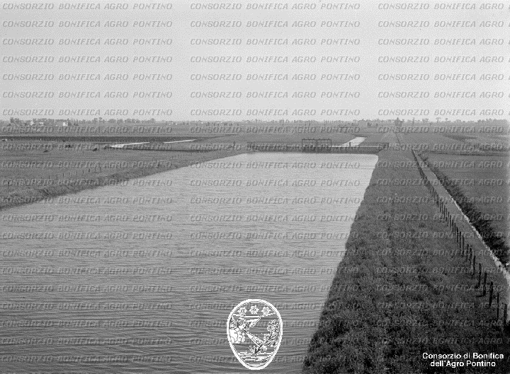 PONTINO/BOR002190.jpg