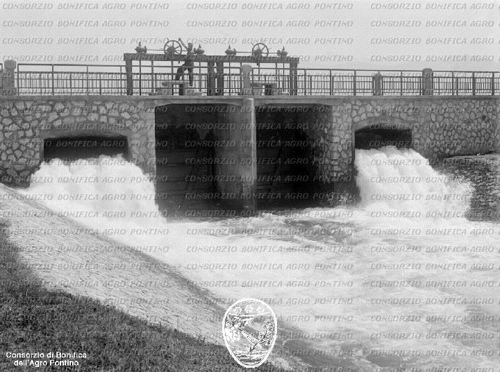 PONTINO/BOR002191.jpg