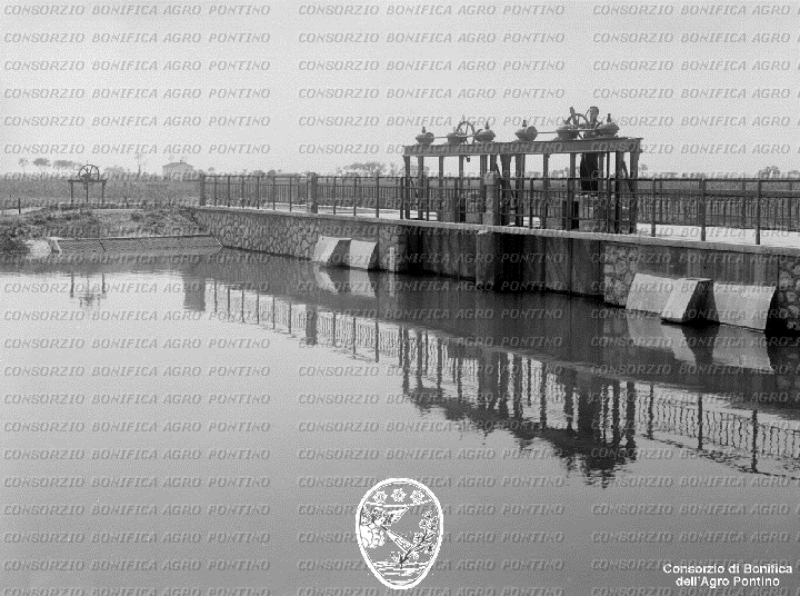 PONTINO/BOR002192.jpg