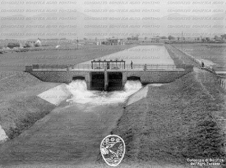 PONTINO/BOR002195.jpg