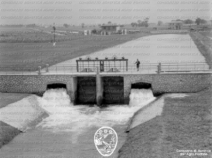 PONTINO/BOR002196.jpg